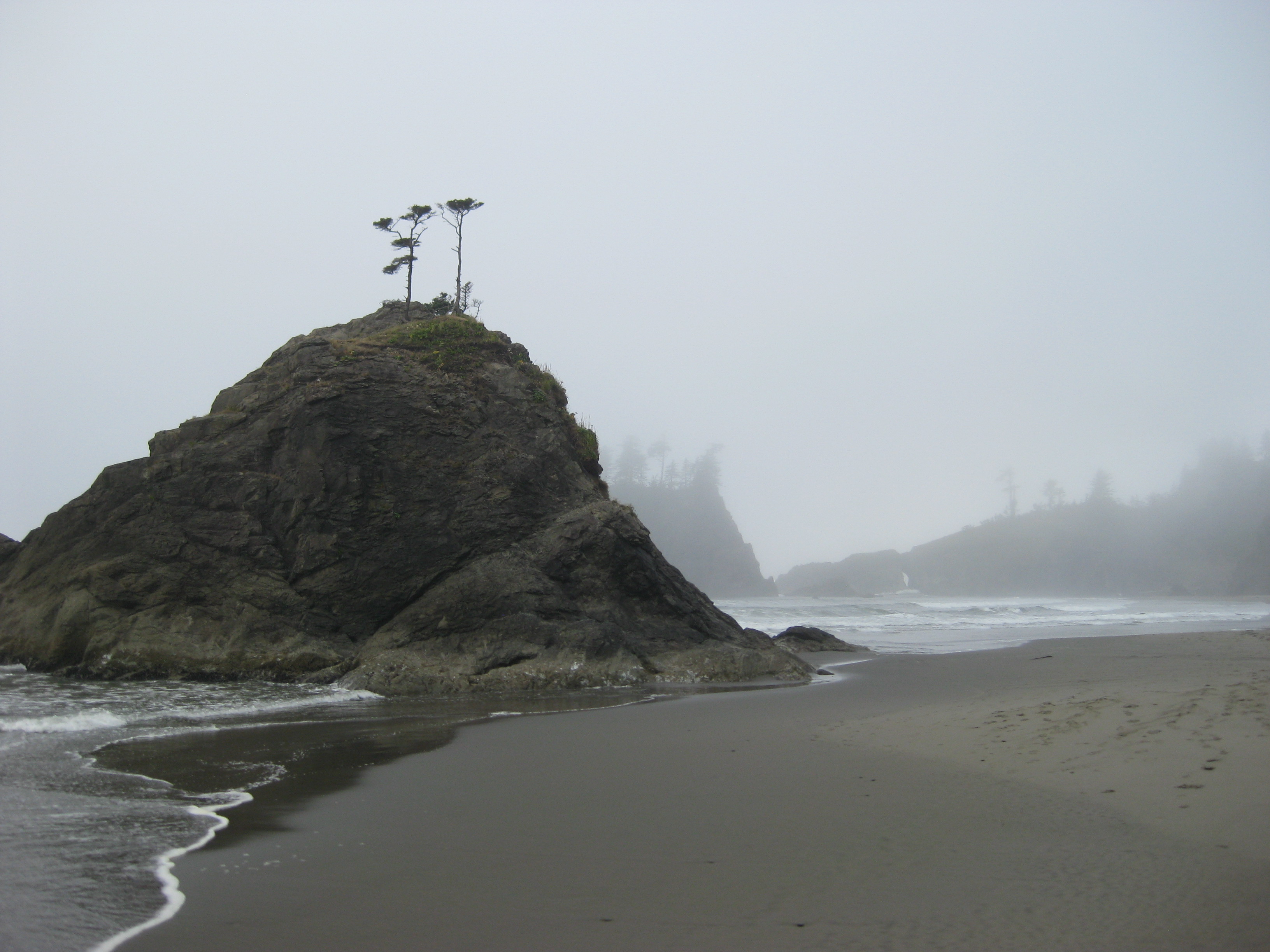 Olympic NP